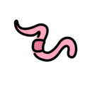 worm on platform OpenMoji