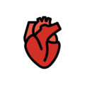 anatomical heart on platform OpenMoji