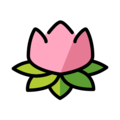 lotus on platform OpenMoji