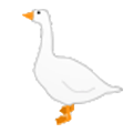 goose on platform Sample
