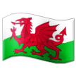 flag: Wales on platform Samsung