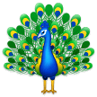 peacock on platform Samsung