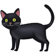 black cat on platform Samsung