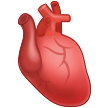 anatomical heart on platform Samsung