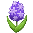 hyacinth on platform Samsung