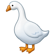 goose on platform Samsung