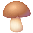 brown mushroom on platform Samsung