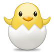 🐣