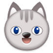 grinning cat on platform Samsung