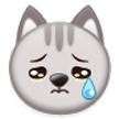 crying cat on platform Samsung