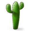 cactus on platform Samsung