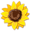 sunflower on platform Samsung