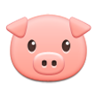 pig on platform Samsung