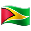 flag: Guyana on platform Samsung