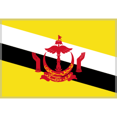 flag: Brunei on platform Skype