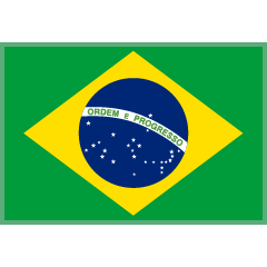 flag: Brazil on platform Skype