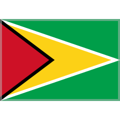 flag: Guyana on platform Skype