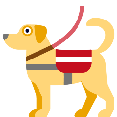 service dog on platform Skype