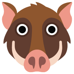 boar on platform Skype