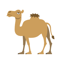 camel on platform Skype