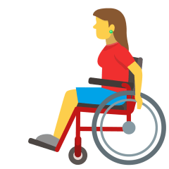 woman in manual wheelchair on platform Skype