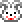 rabbit on platform Softbank