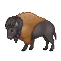 bison on platform Telegram