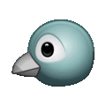 bird on platform Telegram