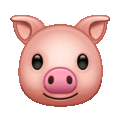 pig on platform Telegram