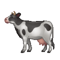 cow on platform Telegram