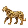 leopard on platform Telegram
