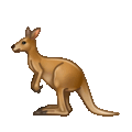 kangaroo on platform Telegram