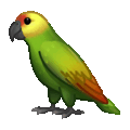 parrot on platform Telegram