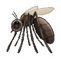 mosquito on platform Telegram