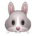 rabbit on platform Telegram