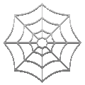 spider web on platform Telegram