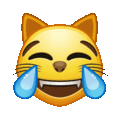 cat with tears of joy on platform Telegram
