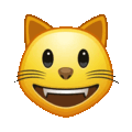 grinning cat on platform Telegram