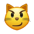 cat with wry smile on platform Telegram