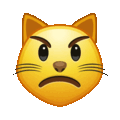 pouting cat on platform Telegram