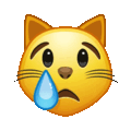 crying cat on platform Telegram