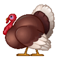 turkey on platform Telegram