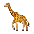 giraffe on platform Telegram