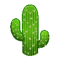 cactus on platform Telegram