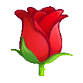 rose on platform Telegram