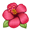 hibiscus on platform Telegram