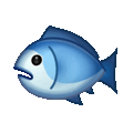 fish on platform Telegram