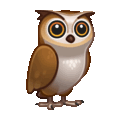 owl on platform Telegram