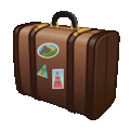 luggage on platform Telegram