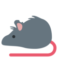 rat on platform Twitter
